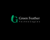 Green Feather Technologies Ltd. Logotype