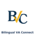 Bilingual VA Connect Logotype