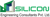 SILICON ENGINEERING CONSULTANTS Logotype