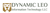 Dynamic Leo Information Technology LLC Logotype
