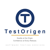 TestOrigen Software Testing Services Pvt Ltd Logotype