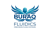 BURAQ FLUIDICS PRECISION FLOW SYSTEMS Logotype