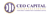CEO Capital Connection Logotype