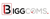 Biggcoms Business Solutions Private Limited Logotype