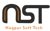Nagpur Soft Tech Logotype