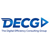 Digital Efficiency Consulting Group (DECG) Logotype