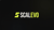 Scalevo Logotype