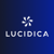 Lucidica Logotype