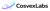 CosvexLabs Logotype