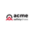 ACME UNIVERSAL SAFEZONE 9 LTD Logotype