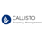 Castillo Property Managment Logotype