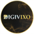 DigiVixo Logotype