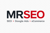 Mr. Seo Logotype