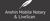 Anshi Mobile Notary and LIvescan Logotype
