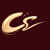 Codanorm Solutions Logotype