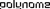 Polynome AI Logotype