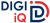 DIGIIQ IT SOLUTION PRIVATE LIMITED Logotype