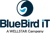 BlueBird iT Solutions Inc Logotype