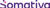 Somativa Logotype