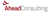 Ahead Consulting Logotype