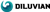 Diluvian Digital Logotype