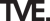 The Value Engineers Logotype
