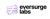 Eversurge Labs Logotype