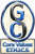 Gayle Consulting Services LLC Logotype