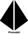 Prismabit Digital Solution LLP Logotype