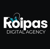 Roipas Dijital Pazarlama Ajansı Logotype