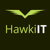 Hawki IT Logotype
