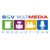 S&V Multimedia Productions Logotype