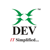 DEV Information Technology Limited Logotype