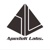 ApexTek Labs Logotype