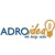 Adroidea Web Design Company Logotype