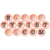 E Typist Logotype