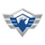 CyberSecure IPS, LLC Logotype