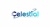 Celestial It Verse Pvt Ltd Logotype