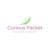 Curious Packet Logotype