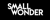Small Wonder Digital Logotype