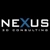 Nexus 3D Consulting Logotype