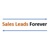 Sales Leads Forever Logotype
