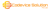 Codevice solution Pvt Ltd Logotype