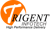 Trigent Infotech Pvt. Ltd. Logotype