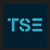 The Search Experience Logotype