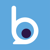 Bitzburg Business Solutions Private Limited Logotype