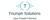 Triumph Solutions Logotype