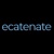 Ecatenate Limited Logotype