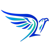 Hawks Design Logotype