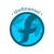 THEFINANSOL Logotype